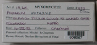 Image Associated With the Occurence